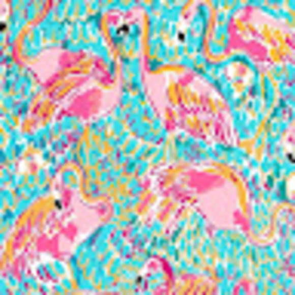 Meet your Posher, Riley - Picture 1 of 1